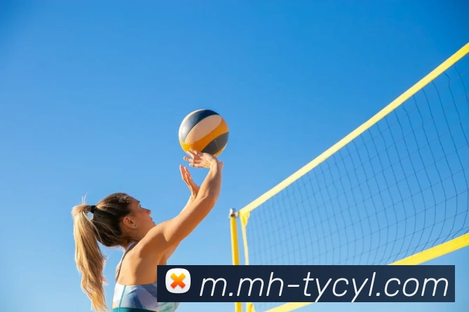 多媒体互动体验